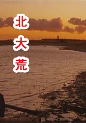 国产午夜精品久久久久免费视